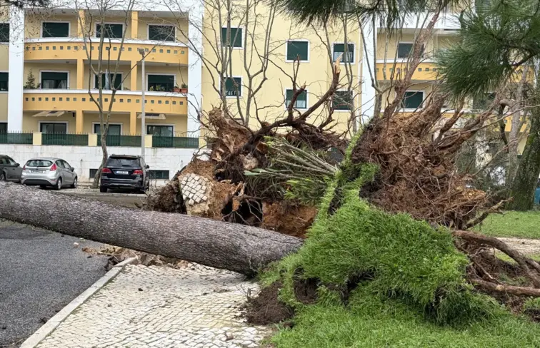 Destruição causada pelo mau tempo em Cascais